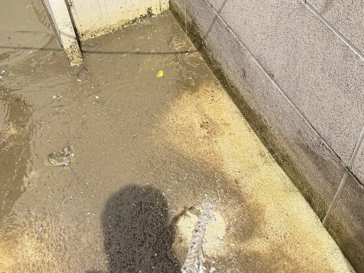 양양군 강현면 침수 현장 복도·대기 동선 야간 위생청소 사례 - 행진크린